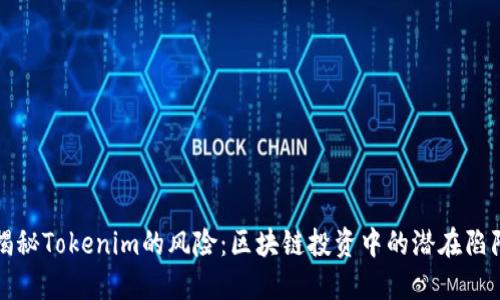 揭秘Tokenim的风险:区块链投资中的潜在陷阱