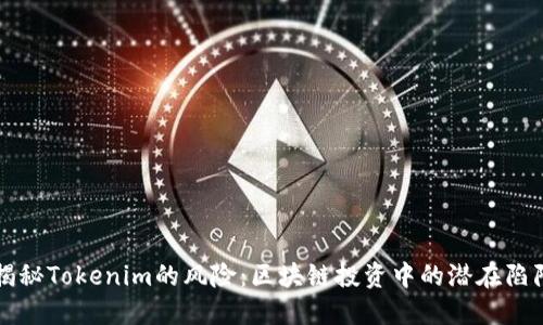 揭秘Tokenim的风险:区块链投资中的潜在陷阱