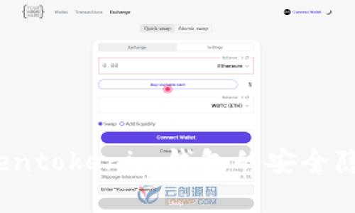 深度剖析：Tokentokenim钱包的安全隐患与风险防范