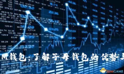 全面解析IM钱包：了解子母钱包的优势与使用技巧