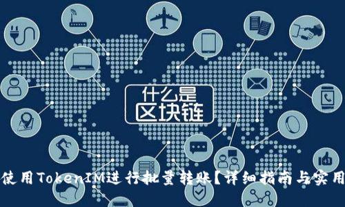 如何使用TokenIM进行批量转账？详细指南与实用技巧
