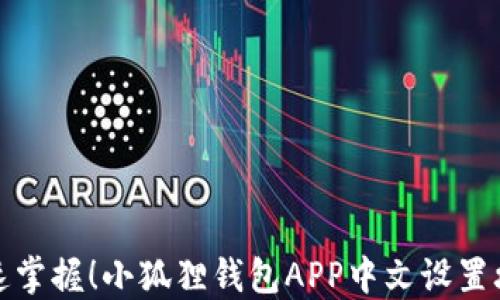 快速掌握!小狐狸钱包APP中文设置攻略
