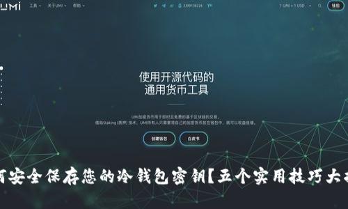 如何安全保存您的冷钱包密钥？五个实用技巧大揭秘