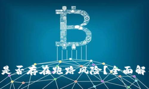 Tokenim项目是否存在跑路风险?全面解析与投资建议