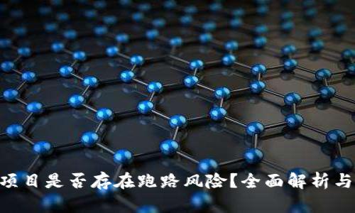 Tokenim项目是否存在跑路风险?全面解析与投资建议