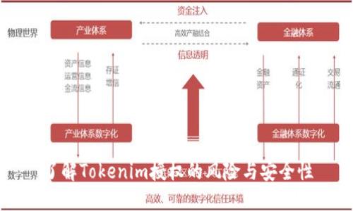 了解Tokenim授权的风险与安全性