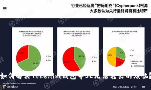 如何解决Tokenim钱包中SE无法转出的烦恼？