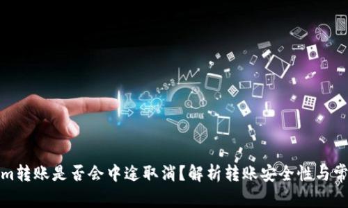 Tokenim转账是否会中途取消？解析转账安全性与常见问题