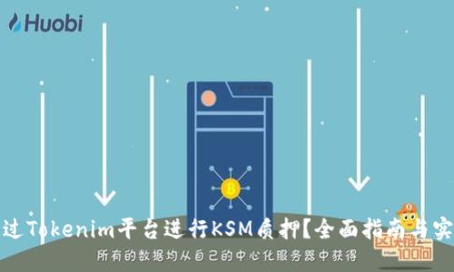 如何通过Tokenim平台进行KSM质押？全面指南与实用技巧