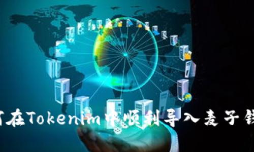 如何在Tokenim中顺利导入麦子钱包？