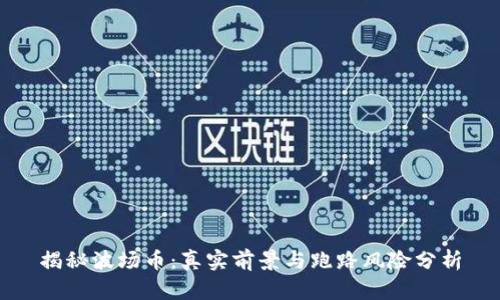 揭秘波场币:真实前景与跑路风险分析