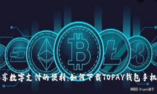 畅享数字支付的便利:如何下载TOPAY钱包手机版