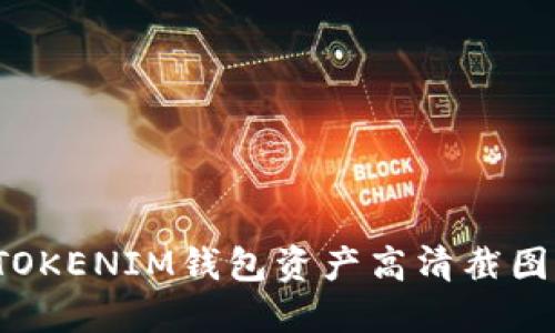 如何获取TOKENTOKENIM钱包资产高清截图:详细指南与技巧