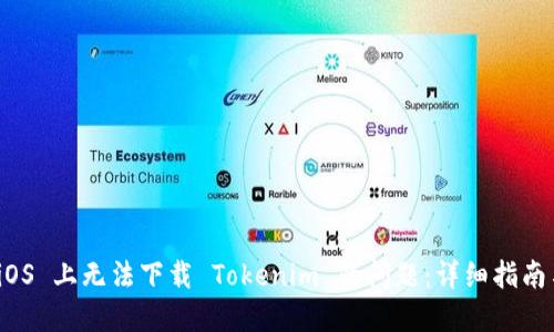 解决 iOS 上无法下载 Tokenim 的问题：详细指南与步骤