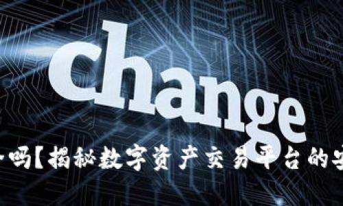 Tokenim安全吗?揭秘数字资产交易平台的安全性与风险