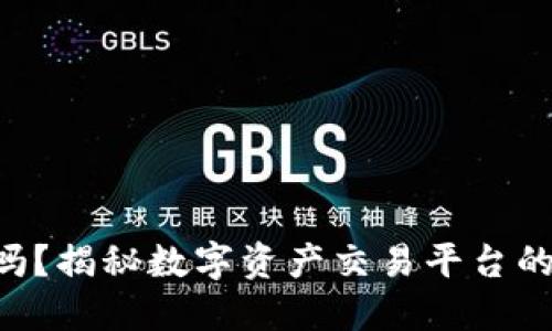 Tokenim安全吗?揭秘数字资产交易平台的安全性与风险