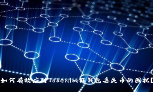 如何有效应对Tokenim假钱包丢失币的困扰?