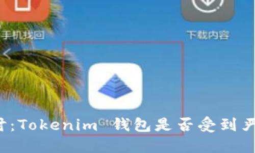 深入探讨：Tokenim 钱包是否受到严格监管？