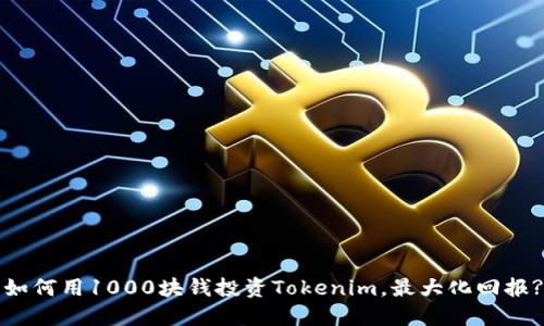 如何用1000块钱投资Tokenim，最大化回报?
