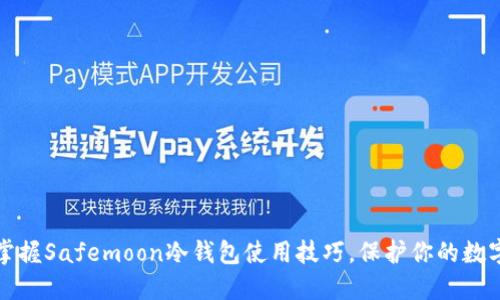 轻松掌握Safemoon冷钱包使用技巧,保护你的数字资产