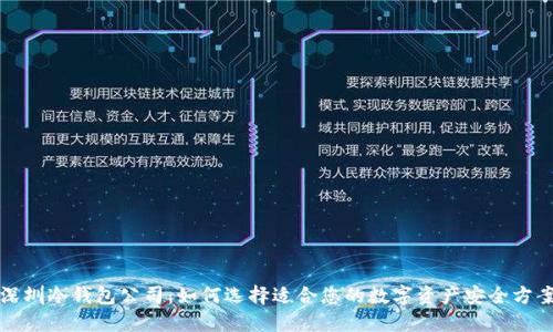 深圳冷钱包公司:如何选择适合您的数字资产安全方案
