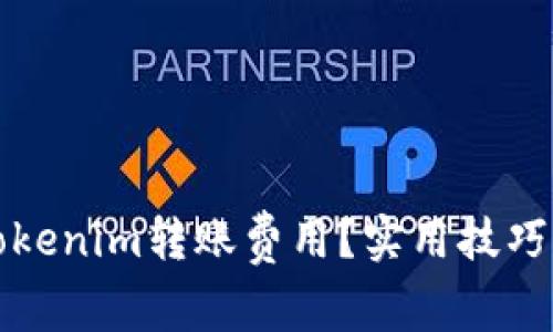 如何降低Tokenim转账费用？实用技巧与注意事项