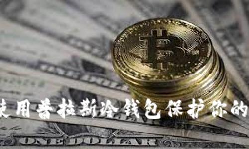 如何有效使用普拉斯冷钱包保护你的数字资产？