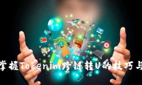 轻松掌握Tokenim跨链转U的技巧与步骤