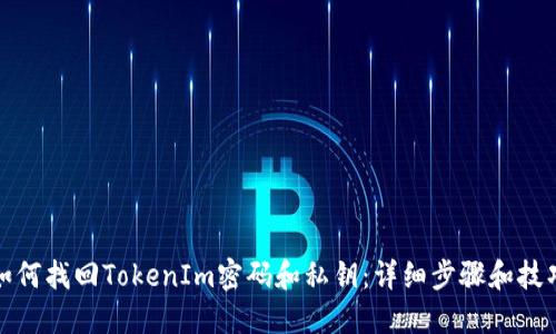 如何找回TokenIm密码和私钥：详细步骤和技巧