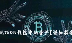 如何快速提现TRON钱包中的资产？详细指南与注意