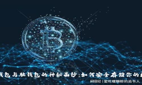 揭开冷钱包与脑钱包的神秘面纱：如何安全存储你的数字资产
