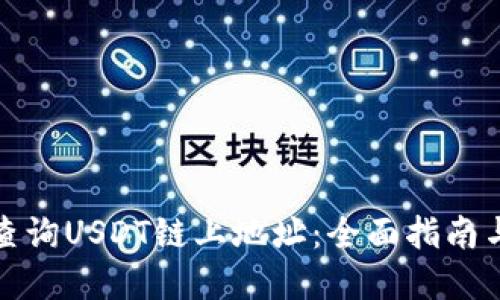 如何高效查询USDT链上地址：全面指南与实用技巧