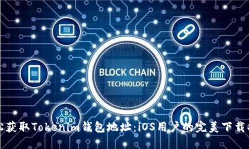 轻松获取Tokenim钱包地址：iOS用户的完美下载指南