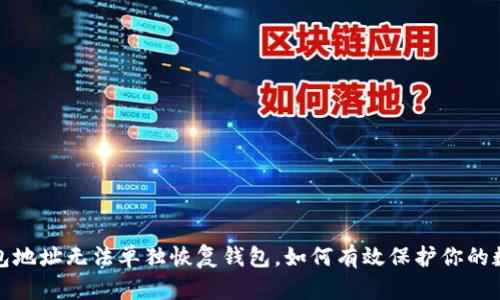 使用钱包地址无法单独恢复钱包,如何有效保护你的数字资产