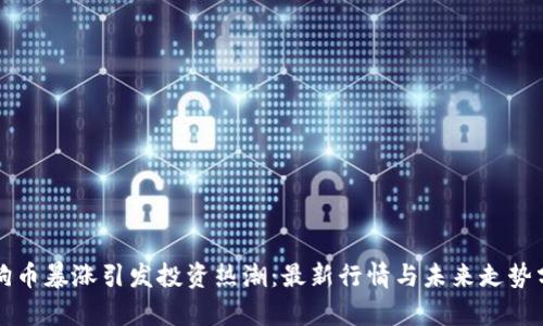 狗狗币暴涨引发投资热潮:最新行情与未来走势分析