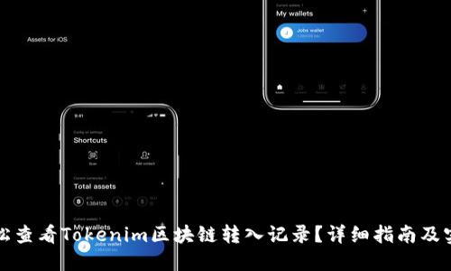 如何轻松查看Tokenim区块链转入记录?详细指南及实用技巧