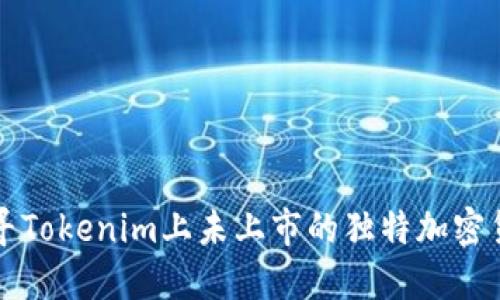 探寻Tokenim上未上市的独特加密货币