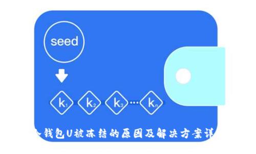 冷钱包U被冻结的原因及解决方案详解