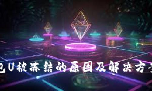 冷钱包U被冻结的原因及解决方案详解