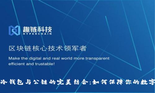 深入探讨冷钱包与公链的完美结合:如何保障你的数字资产安全