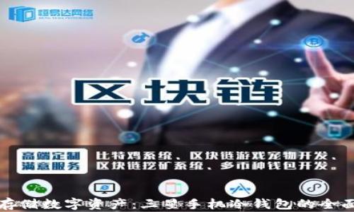 安全存储数字资产:三星手机冷钱包的全面指南