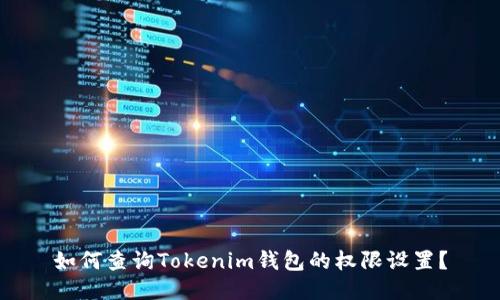 如何查询Tokenim钱包的权限设置?