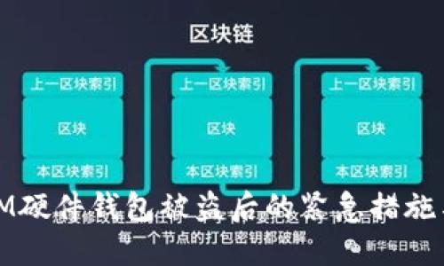 如何应对IM硬件钱包被盗后的紧急措施与预防策略