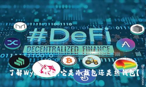 了解Wyb3钱包：它是冷钱包还是热钱包？