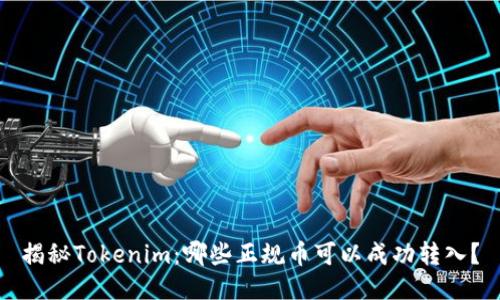 揭秘Tokenim:哪些正规币可以成功转入?
