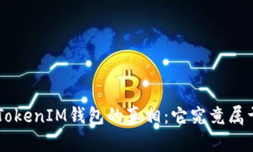 揭开TokenTokenIM钱包的真相：它究竟属于哪个平台？