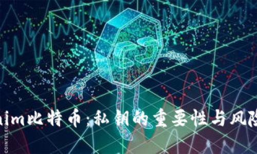 Tokenim比特币：私钥的重要性与风险探讨