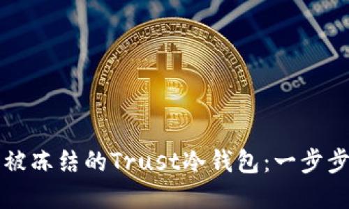如何解冻被冻结的Trust冷钱包：一步步详细指南