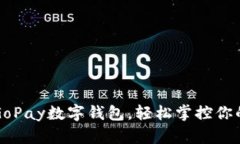 一键下载GoPay数字钱包，轻松掌控你的金融生活