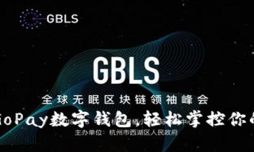 一键下载GoPay数字钱包，轻松掌控你的金融生活